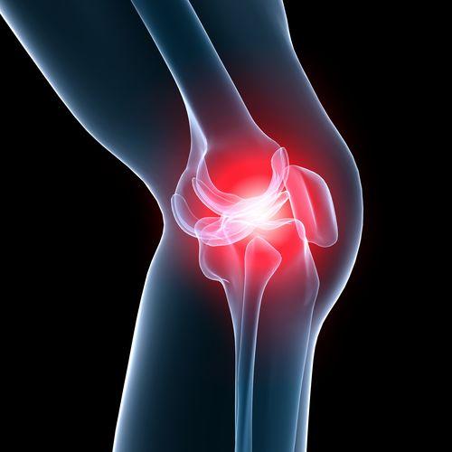 Klouby, kosti, svaly